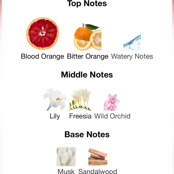 New Tocca Stella Eau de Parfum Mini - Picture 6 of 6